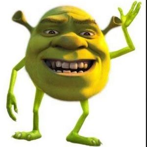 Meet your Posher, Steven